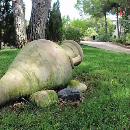 Villaggio Pineta Petto Bianco Capo Vaticano