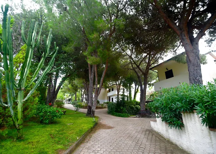 Villaggio Pineta Petto Bianco Capo Vaticano